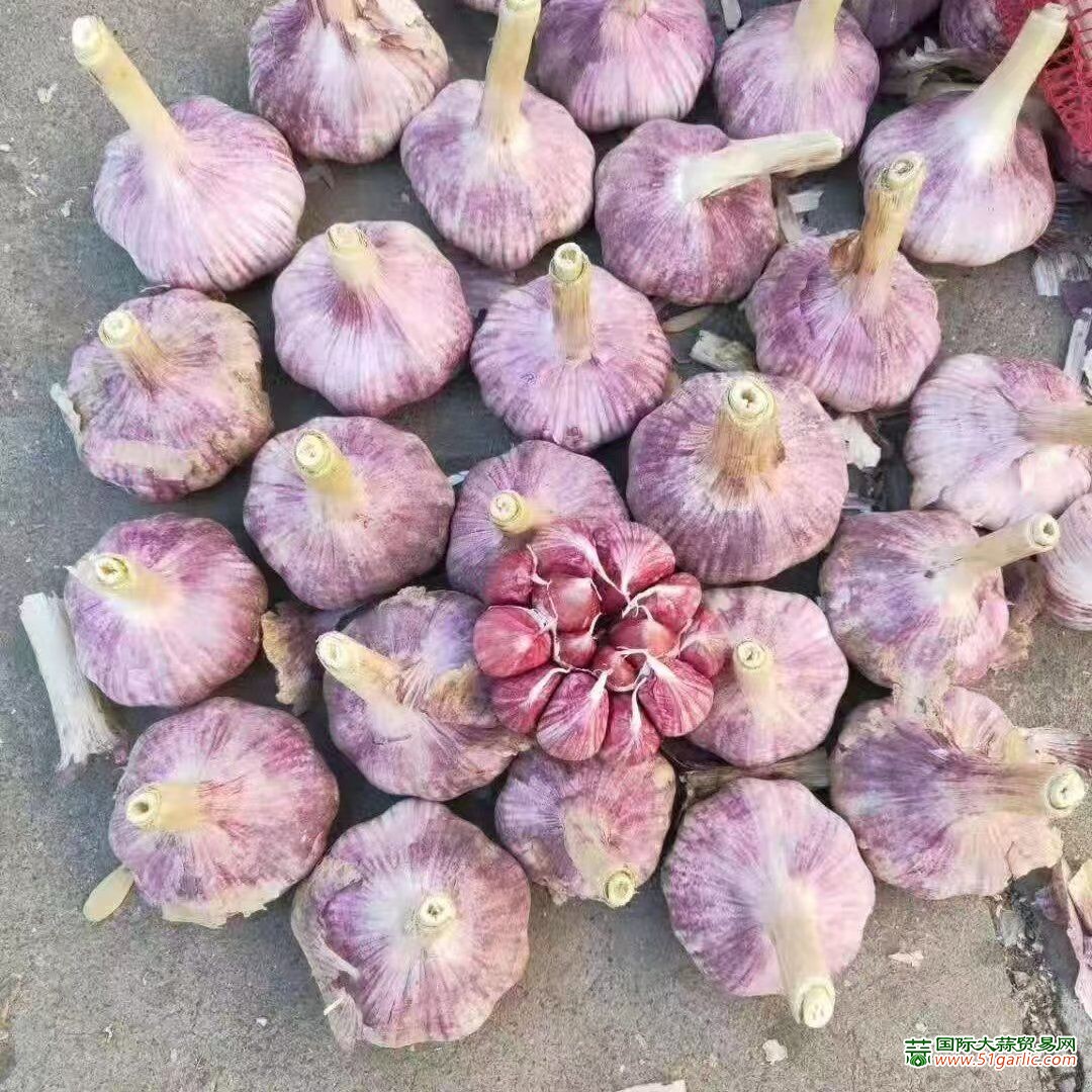 QQ圖片20250425151748